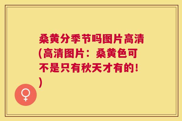 桑黄分季节吗图片高清(高清图片:桑黄色可不是只有秋天才有的!) 桑黄分季节吗图片高清(高清图片:桑黄色可不是只有秋天才有的!)