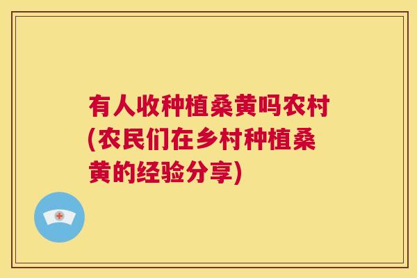 有人收种植桑黄吗农村(农民们在乡村种植桑黄的经验分享) 有人收种植桑黄吗农村(农民们在乡村种植桑黄的经验分享)
