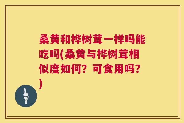 桑黄和桦树茸一样吗能吃吗(桑黄与桦树茸相似度如何?可食用吗?) 桑黄和桦树茸一样吗能吃吗(桑黄与桦树茸相似度如何?可食用吗?)