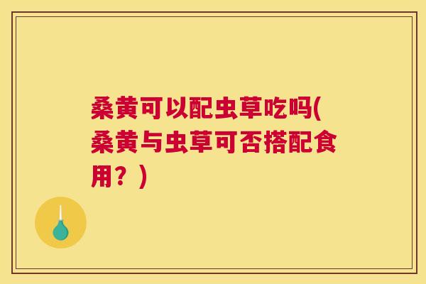 桑黄可以配虫草吃吗(桑黄与虫草可否搭配食用?) 桑黄可以配虫草吃吗(桑黄与虫草可否搭配食用?)