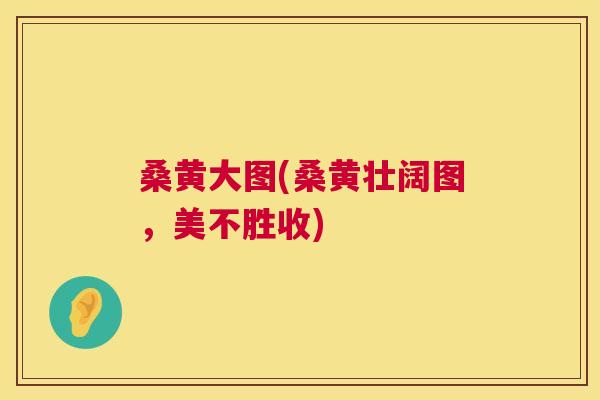 桑黄大图(桑黄壮阔图,美不胜收) 桑黄大图(桑黄壮阔图,美不胜收)
