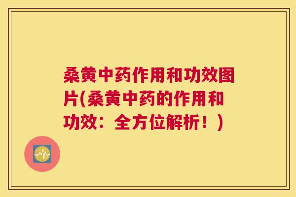 桑黄作用和功效图片(桑黄的作用和功效:全方位解析!) 桑黄作用和功效图片(桑黄的作用和功效:全方位解析!)