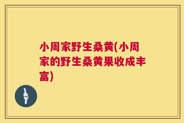 小周家野生桑黄(小周家的野生桑黄果收成丰富) 小周家野生桑黄(小周家的野生桑黄果收成丰富)