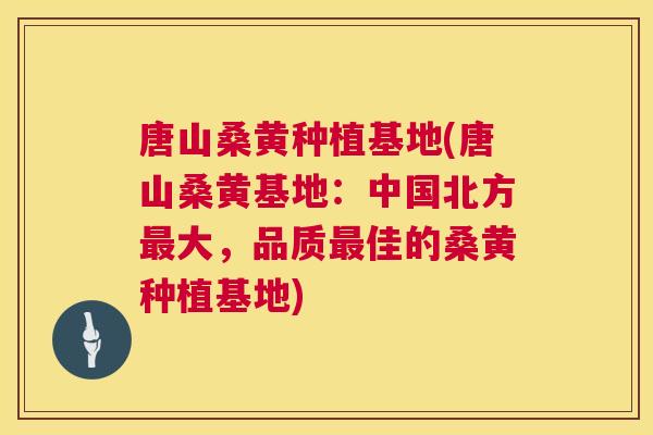 唐山桑黄种植基地(唐山桑黄基地:中国北方大,品质佳的桑黄种植基地) 唐山桑黄种植基地(唐山桑黄基地:中国北方大,品质佳的桑黄种植基地)