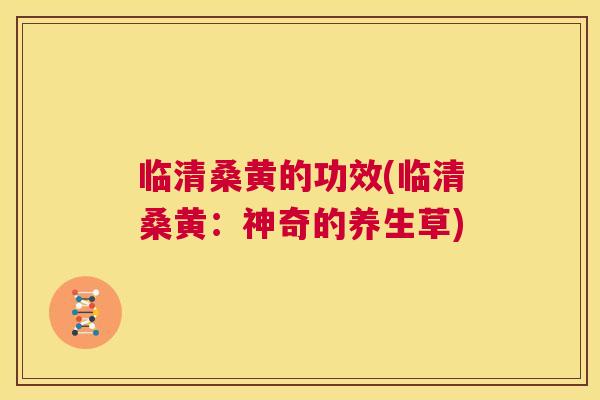 临清桑黄的功效(临清桑黄:神奇的养生草) 临清桑黄的功效(临清桑黄:神奇的养生草)