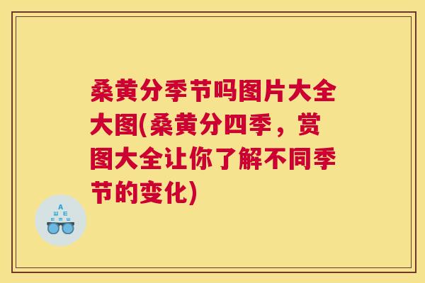 桑黄分季节吗图片大全大图(桑黄分四季,赏图大全让你了解不同季节的变化) 桑黄分季节吗图片大全大图(桑黄分四季,赏图大全让你了解不同季节的变化)