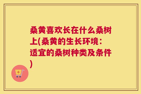 桑黄喜欢长在什么桑树上(桑黄的生长环境:适宜的桑树种类及条件) 桑黄喜欢长在什么桑树上(桑黄的生长环境:适宜的桑树种类及条件)
