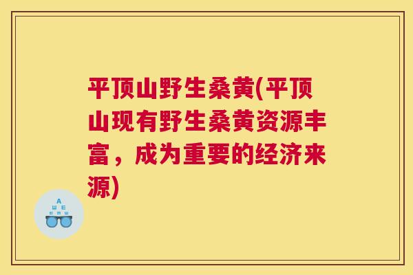 平顶山野生桑黄(平顶山现有野生桑黄资源丰富，成为重要的经济来源)