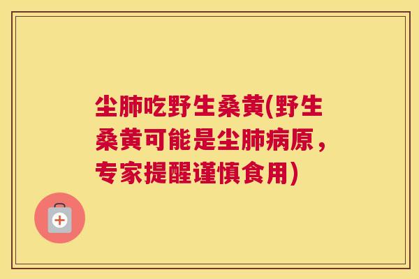 尘吃野生桑黄(野生桑黄可能是尘原,专家提醒谨慎食用) 尘吃野生桑黄(野生桑黄可能是尘原,专家提醒谨慎食用)