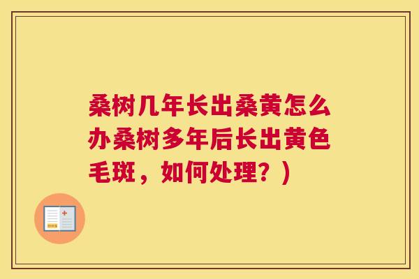 桑树几年长出桑黄怎么办桑树多年后长出黄色毛斑,如何处理?) 桑树几年长出桑黄怎么办桑树多年后长出黄色毛斑,如何处理?)