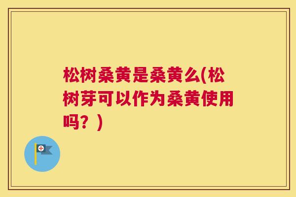 松树桑黄是桑黄么(松树芽可以作为桑黄使用吗?) 松树桑黄是桑黄么(松树芽可以作为桑黄使用吗?)