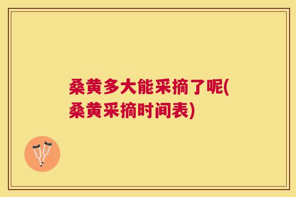 桑黄多大能采摘了呢(桑黄采摘时间表) 桑黄多大能采摘了呢(桑黄采摘时间表)
