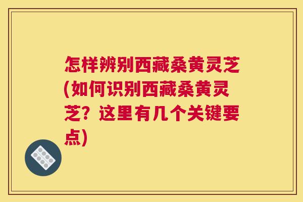 怎样辨别西藏桑黄灵芝(如何识别西藏桑黄灵芝?这里有几个关键要点) 怎样辨别西藏桑黄灵芝(如何识别西藏桑黄灵芝?这里有几个关键要点)