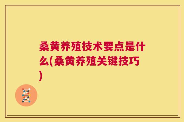 桑黄养殖技术要点是什么(桑黄养殖关键技巧) 桑黄养殖技术要点是什么(桑黄养殖关键技巧)