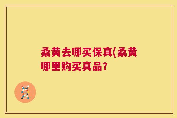 桑黄去哪买保真(桑黄哪里购买真品？