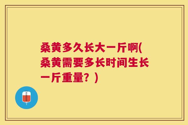 桑黄多久长大一斤啊(桑黄需要多长时间生长一斤重量?) 桑黄多久长大一斤啊(桑黄需要多长时间生长一斤重量?)