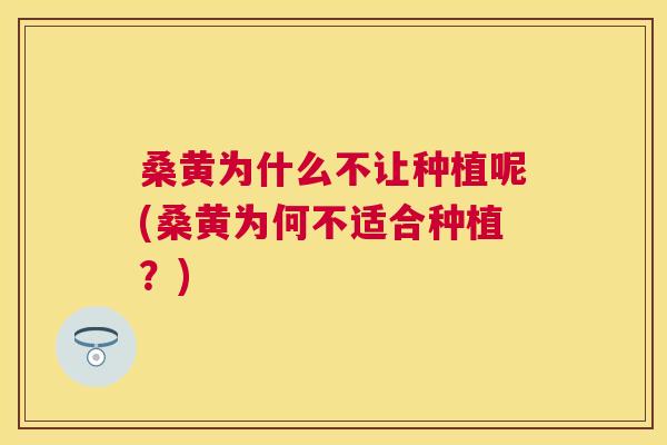 桑黄为什么不让种植呢(桑黄为何不适合种植?) 桑黄为什么不让种植呢(桑黄为何不适合种植?)