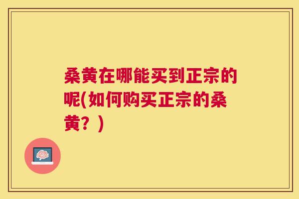桑黄在哪能买到正宗的呢(如何购买正宗的桑黄?) 桑黄在哪能买到正宗的呢(如何购买正宗的桑黄?)
