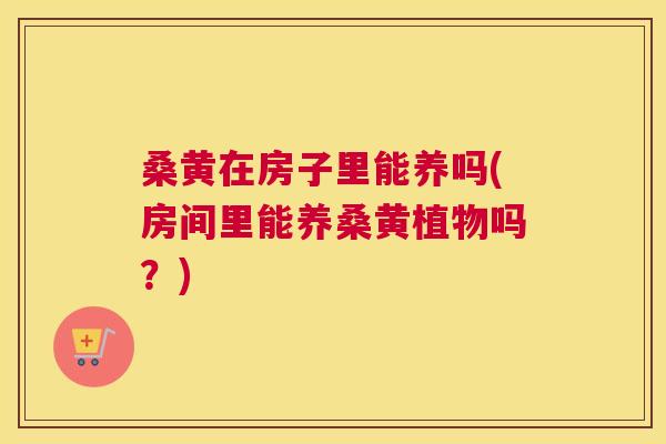 桑黄在房子里能养吗(房间里能养桑黄植物吗?) 桑黄在房子里能养吗(房间里能养桑黄植物吗?)