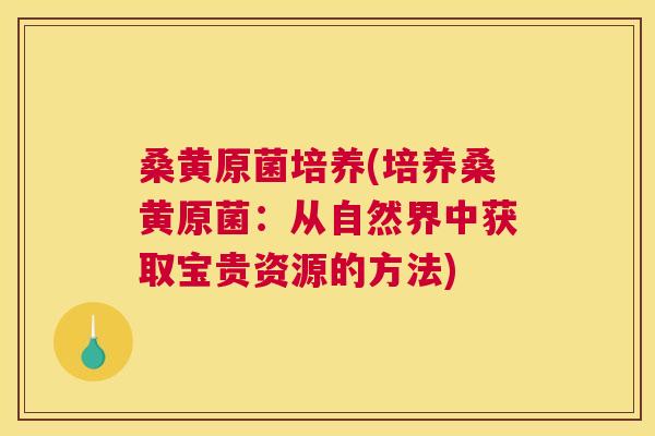 桑黄原菌培养(培养桑黄原菌:从自然界中获取宝贵资源的方法) 桑黄原菌培养(培养桑黄原菌:从自然界中获取宝贵资源的方法)