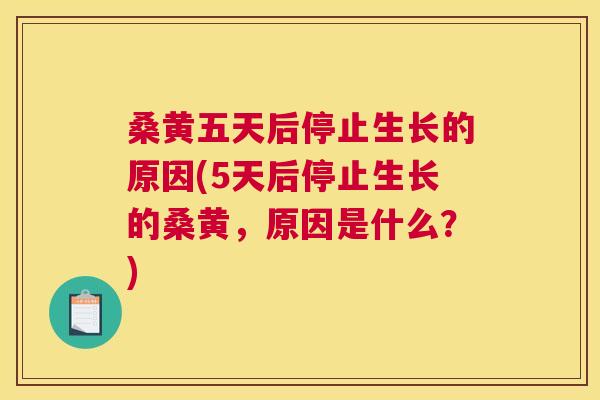 桑黄五天后停止生长的原因(5天后停止生长的桑黄,原因是什么?) 桑黄五天后停止生长的原因(5天后停止生长的桑黄,原因是什么?)