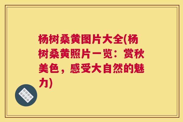 杨树桑黄图片大全(杨树桑黄照片一览:赏秋美色,感受大自然的魅力) 杨树桑黄图片大全(杨树桑黄照片一览:赏秋美色,感受大自然的魅力)