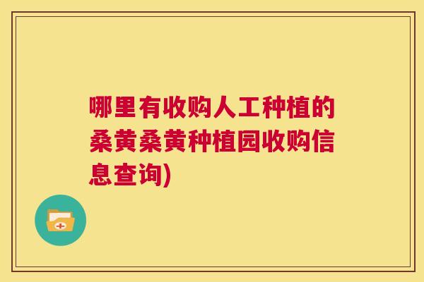 哪里有收购人工种植的桑黄桑黄种植园收购信息查询) 哪里有收购人工种植的桑黄桑黄种植园收购信息查询)