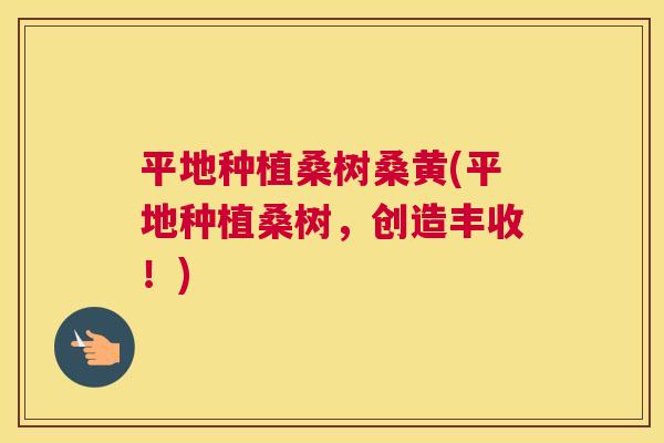 平地种植桑树桑黄(平地种植桑树,创造丰收!) 平地种植桑树桑黄(平地种植桑树,创造丰收!)