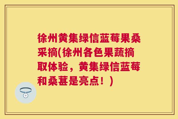徐州黄集绿信蓝莓果桑采摘(徐州各色果蔬摘取体验,黄集绿信蓝莓和桑葚是亮点!) 徐州黄集绿信蓝莓果桑采摘(徐州各色果蔬摘取体验,黄集绿信蓝莓和桑葚是亮点!)