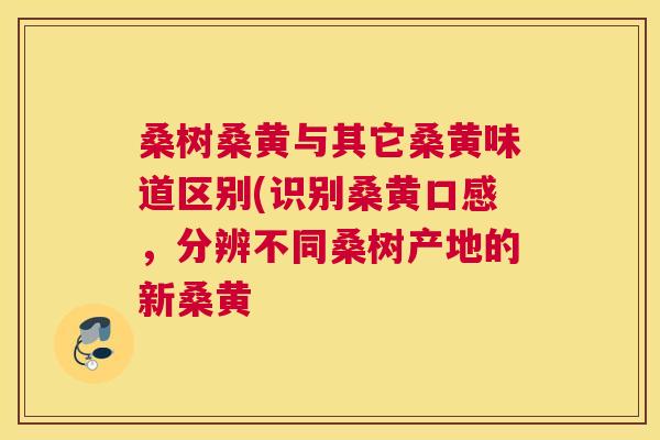桑树桑黄与其它桑黄味道区别(识别桑黄口感,分辨不同桑树产地的新桑黄 桑树桑黄与其它桑黄味道区别(识别桑黄口感,分辨不同桑树产地的新桑黄