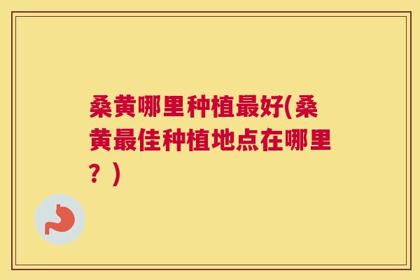 桑黄哪里种植好(桑黄佳种植地点在哪里?) 桑黄哪里种植好(桑黄佳种植地点在哪里?)