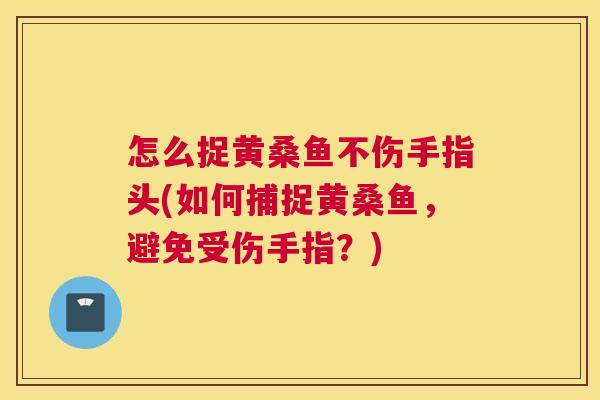 怎么捉黄桑鱼不伤手指头(如何捕捉黄桑鱼,避免受伤手指?) 怎么捉黄桑鱼不伤手指头(如何捕捉黄桑鱼,避免受伤手指?)