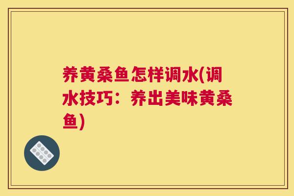 养黄桑鱼怎样调水(调水技巧:养出美味黄桑鱼) 养黄桑鱼怎样调水(调水技巧:养出美味黄桑鱼)