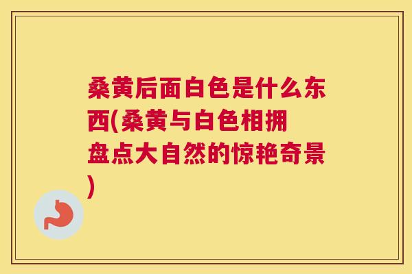 桑黄后面白色是什么东西(桑黄与白色相拥 盘点大自然的惊艳奇景) 桑黄后面白色是什么东西(桑黄与白色相拥 盘点大自然的惊艳奇景)
