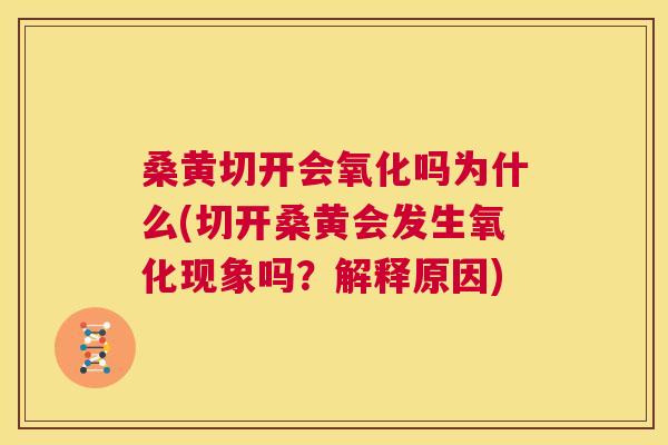 桑黄切开会氧化吗为什么(切开桑黄会发生氧化现象吗?解释原因) 桑黄切开会氧化吗为什么(切开桑黄会发生氧化现象吗?解释原因)