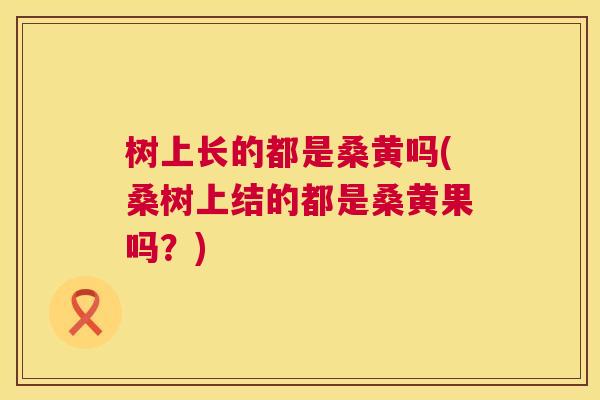 树上长的都是桑黄吗(桑树上结的都是桑黄果吗?) 树上长的都是桑黄吗(桑树上结的都是桑黄果吗?)