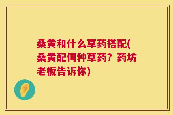 桑黄和什么草药搭配(桑黄配何种草药?药坊老板告诉你) 桑黄和什么草药搭配(桑黄配何种草药?药坊老板告诉你)