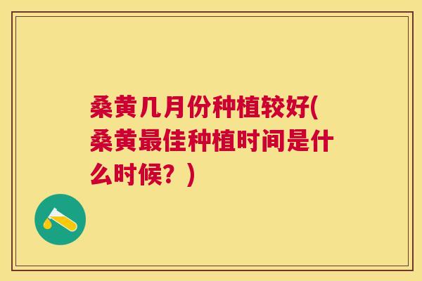 桑黄几月份种植较好(桑黄佳种植时间是什么时候?) 桑黄几月份种植较好(桑黄佳种植时间是什么时候?)