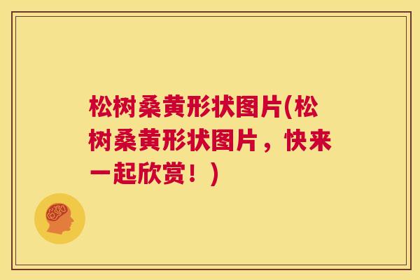 松树桑黄形状图片(松树桑黄形状图片，快来一起欣赏！)
