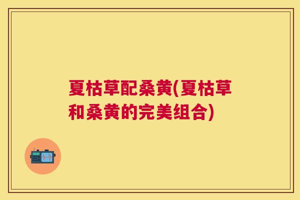 夏枯草配桑黄(夏枯草和桑黄的完美组合) 夏枯草配桑黄(夏枯草和桑黄的完美组合)