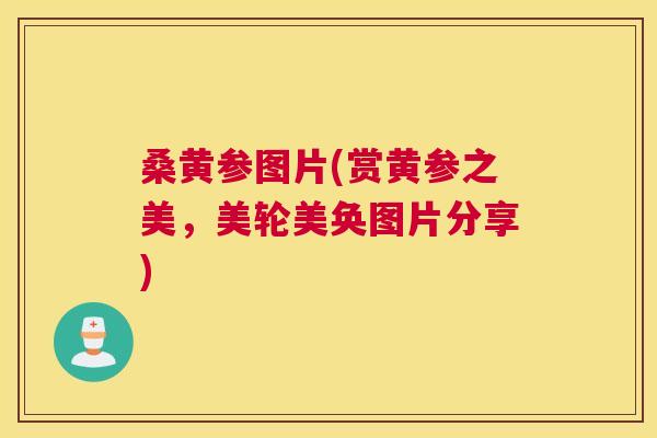 桑黄参图片(赏黄参之美,美轮美奂图片分享) 桑黄参图片(赏黄参之美,美轮美奂图片分享)