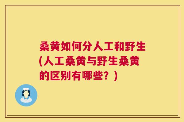 桑黄如何分人工和野生(人工桑黄与野生桑黄的区别有哪些?) 桑黄如何分人工和野生(人工桑黄与野生桑黄的区别有哪些?)