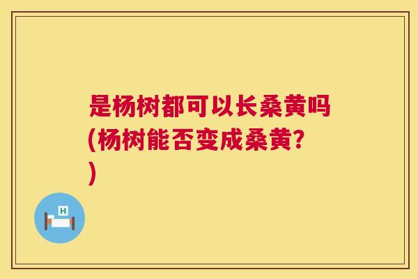 是杨树都可以长桑黄吗(杨树能否变成桑黄?) 是杨树都可以长桑黄吗(杨树能否变成桑黄?)
