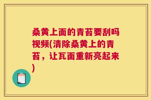 桑黄上面的青苔要刮吗视频(清除桑黄上的青苔,让瓦面重新亮起来) 桑黄上面的青苔要刮吗视频(清除桑黄上的青苔,让瓦面重新亮起来)