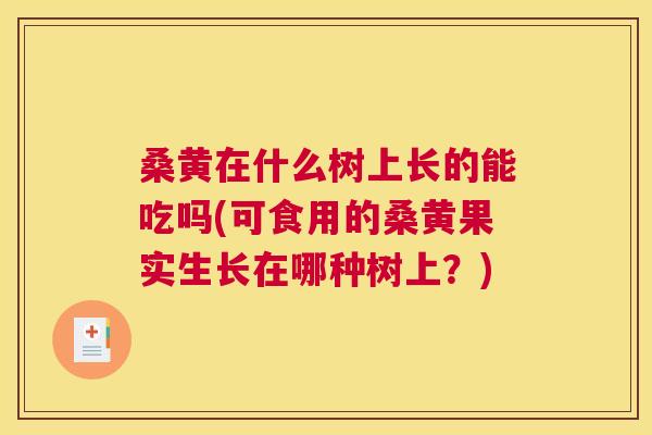 桑黄在什么树上长的能吃吗(可食用的桑黄果实生长在哪种树上?) 桑黄在什么树上长的能吃吗(可食用的桑黄果实生长在哪种树上?)
