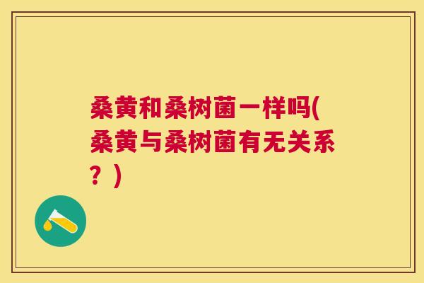 桑黄和桑树菌一样吗(桑黄与桑树菌有无关系？)