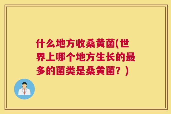 什么地方收桑黄菌(世界上哪个地方生长的多的菌类是桑黄菌?) 什么地方收桑黄菌(世界上哪个地方生长的多的菌类是桑黄菌?)