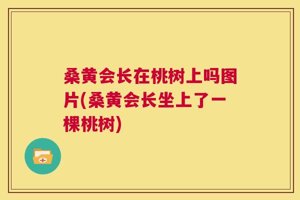 桑黄会长在桃树上吗图片(桑黄会长坐上了一棵桃树) 桑黄会长在桃树上吗图片(桑黄会长坐上了一棵桃树)