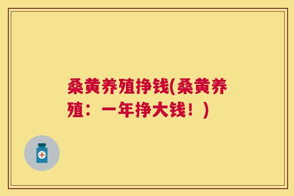 桑黄养殖挣钱(桑黄养殖:一年挣大钱!) 桑黄养殖挣钱(桑黄养殖:一年挣大钱!)