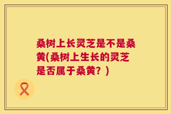 桑树上长灵芝是不是桑黄(桑树上生长的灵芝是否属于桑黄?) 桑树上长灵芝是不是桑黄(桑树上生长的灵芝是否属于桑黄?)